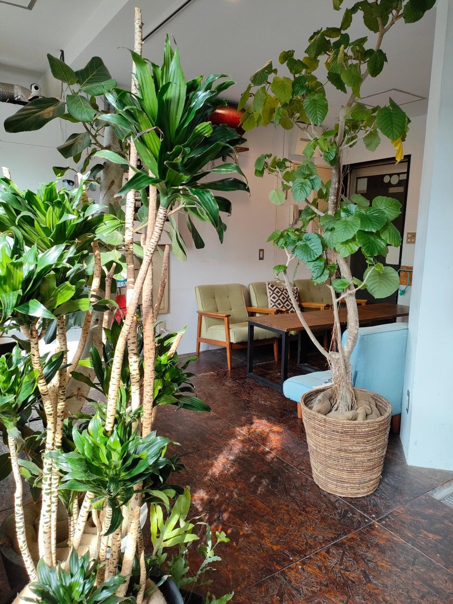 Tokyo Guest House Ouji Music Lounge Exterior photo